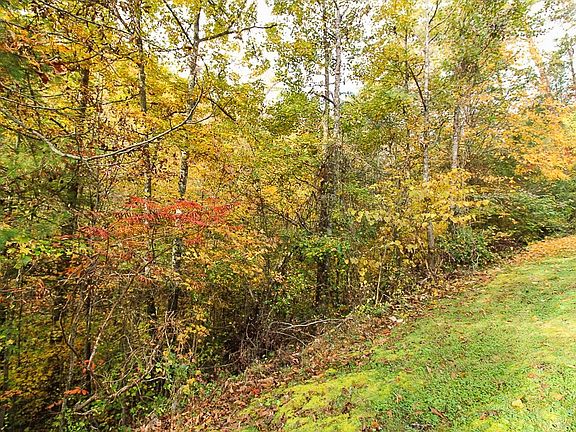4th image of 85 Smoky Cove Rd