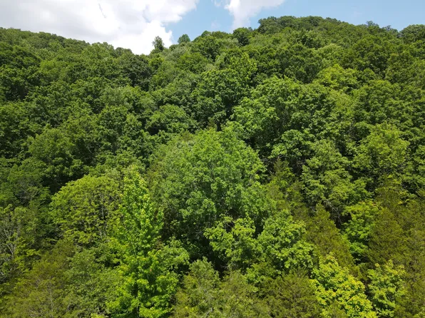 3400 Sycamore Creek Rd, Woodbury, TN 37190