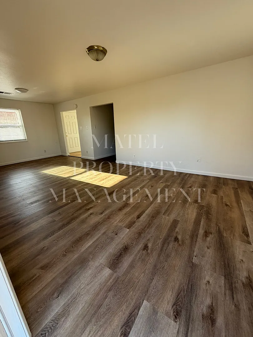 FIF225 — Photo 3