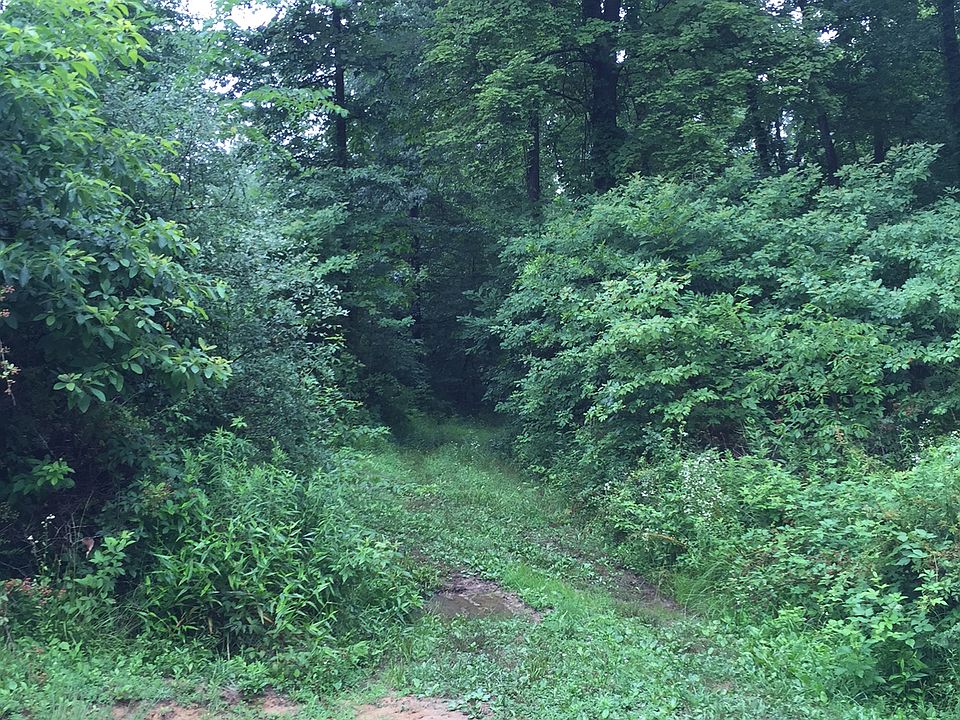 Pathways through the woods