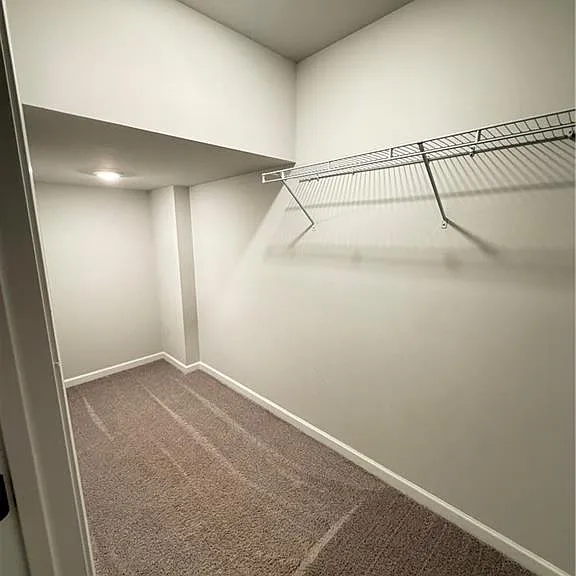 4236 Hickory Pine Aly — Photo 24