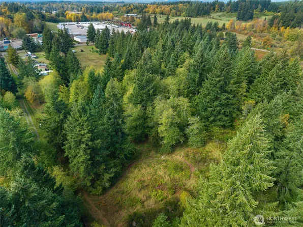 13332 Reeder Road SW, Maytown, WA 98589