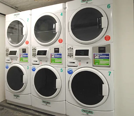 Rented by Bold New York | media 18