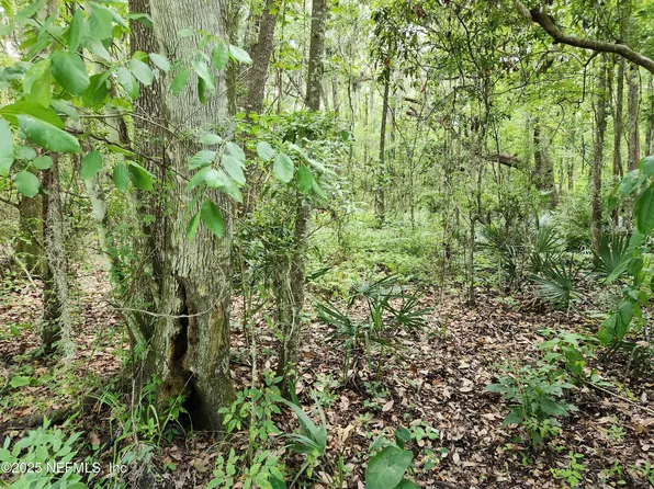 315 3RD Way, Interlachen, FL 32148