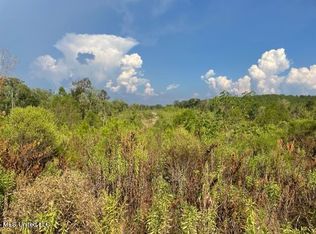 1 Tower Rd, Forest, MS 39074