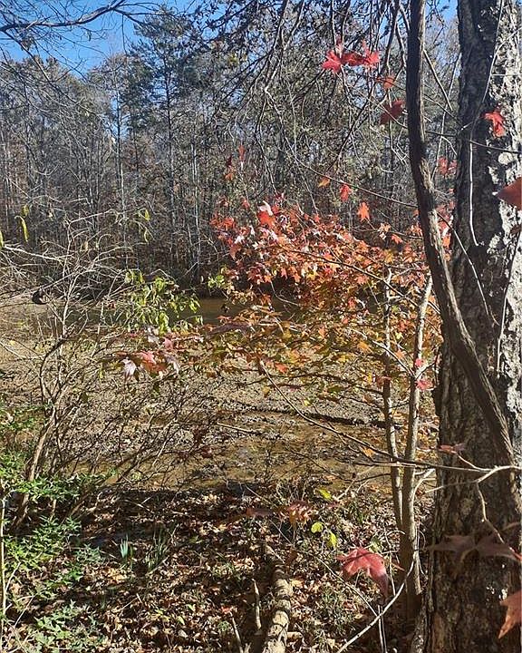 2nd image of Portion Of 1790 Mallard Lakes Drive Portion Of Lot 304