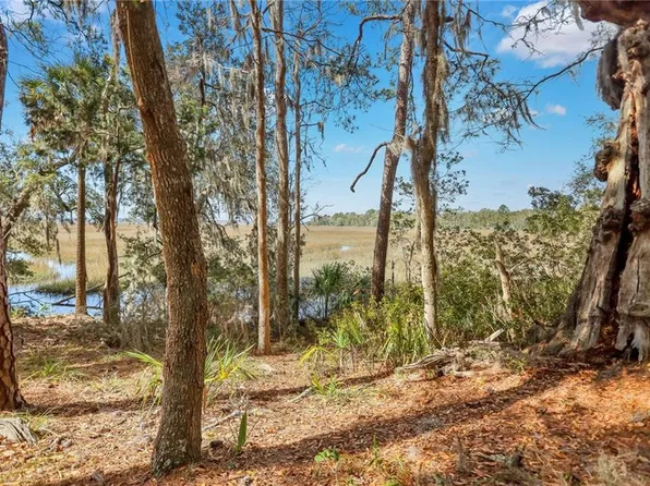 0 London Hill Rd W, Woodbine, GA 31569