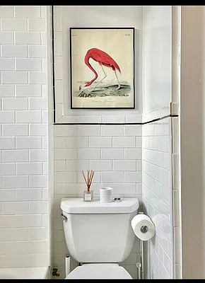 Rented by Oxford Property Group | media 10