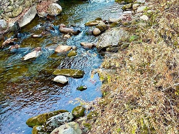 4th image of 340 Roaring Fork Rd