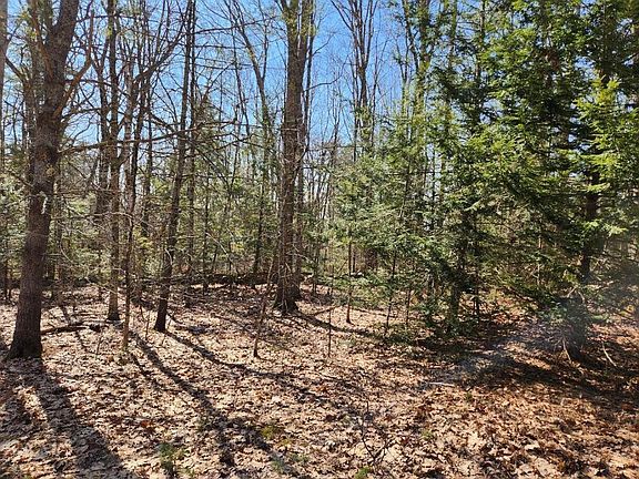 4th image of 24 Palmer Hill Road