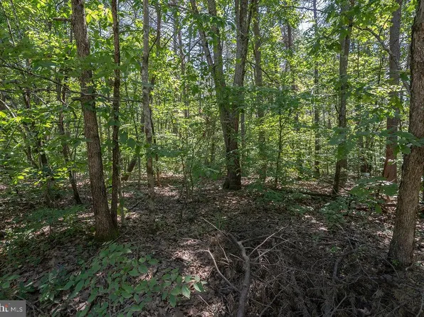 Greenwood Dr, Spotsylvania, VA 22553