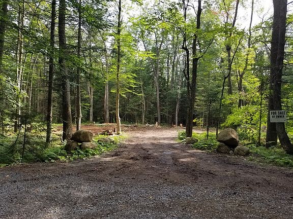 Entrance with new clearing