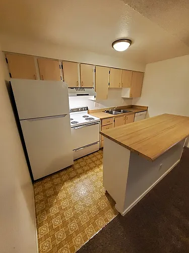 The Firs Apartments Photo 1
