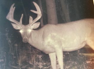 S397 Sand Rd LOT WP001, Mondovi, WI 54755