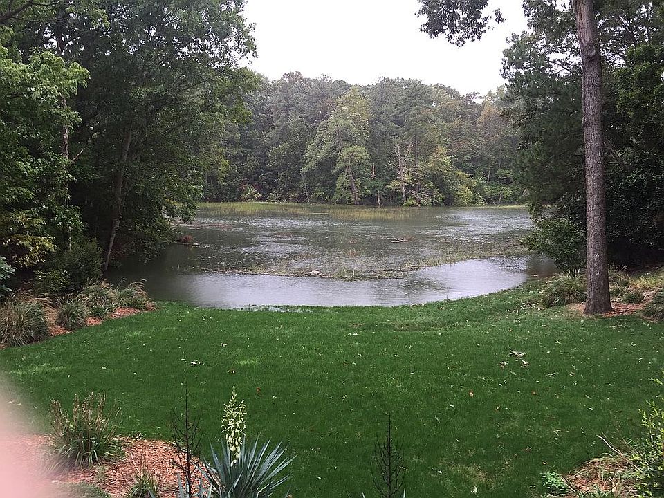 Marsh view at extreme high t