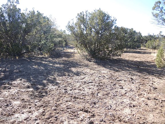 3rd image of 627 E Hualpai Trl