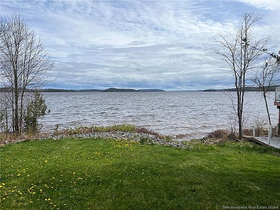 5th image of 47 Birchmount Rd
