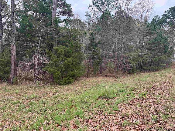 2nd image of Lots 9 11 Lake Gladewater Rd