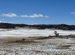 1 Dog Chief Trl, Hartsel, CO 80449