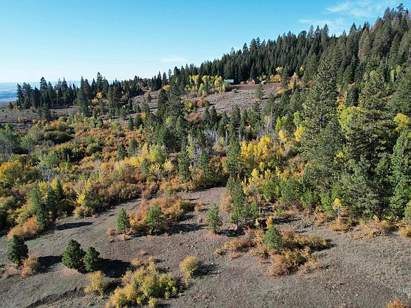 5th image of 1700 Jackson Creek Rd