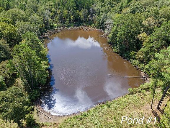5th image of 16111 County Line Rd