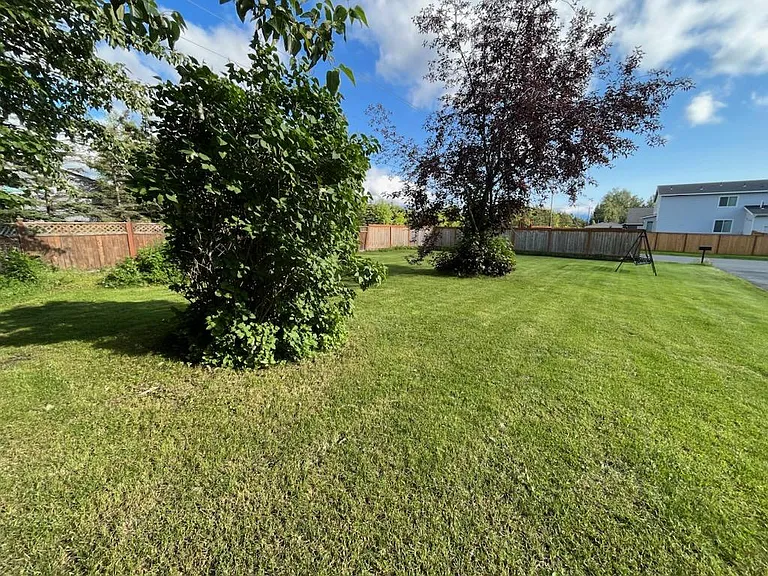 Front Yard