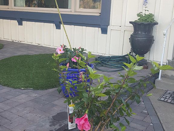 4th image of 888 Murray Dr