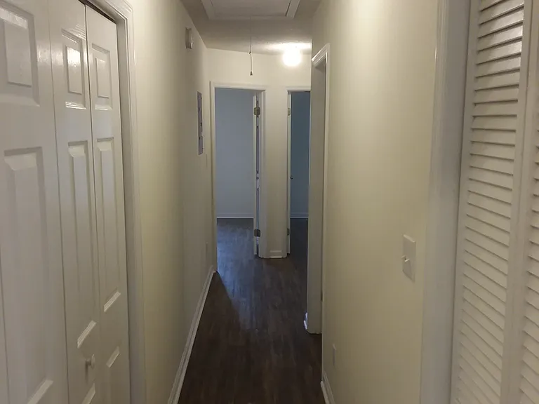 2803 Saw Palmetto Ln — Photo 13