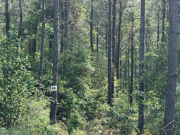 3rd image of LOT R12357 89 Private Rd