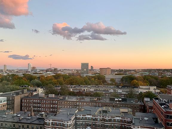 View from the bedroom and living room window.
