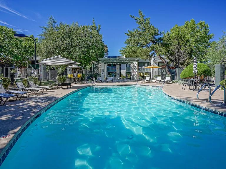Sparkling Swimming Pool