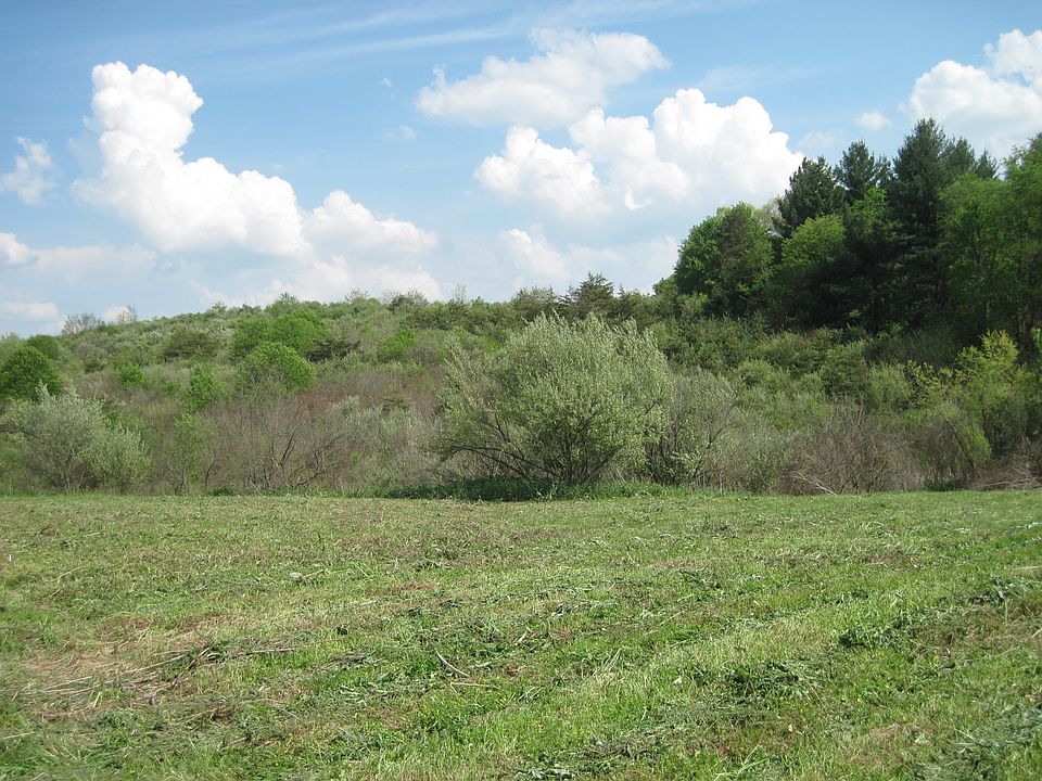 2nd image of 38856 Hwy 160
