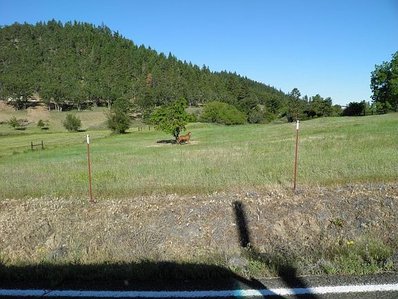 horse pasture