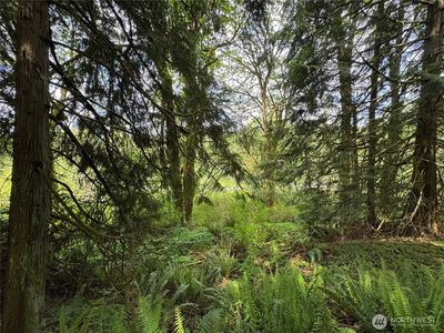 16113 NE 124th Street, Redmond, WA, 98052