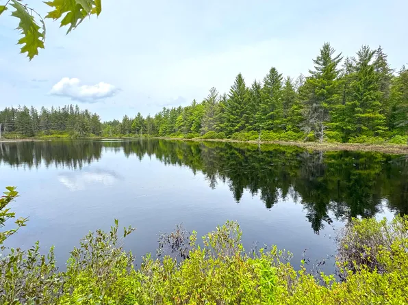 6085 N Laurie Lakes Rd, Paradise, MI 49768