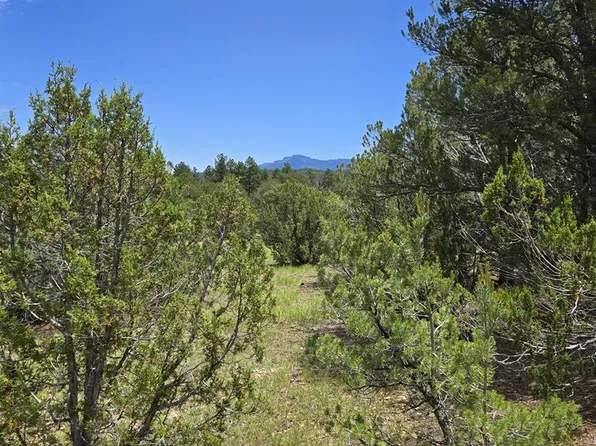 20 Colorado Mountain Lake Ests, Trinidad, CO 81082