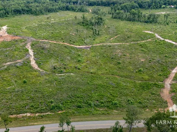 113 County Road 208, Jack, AL 36346