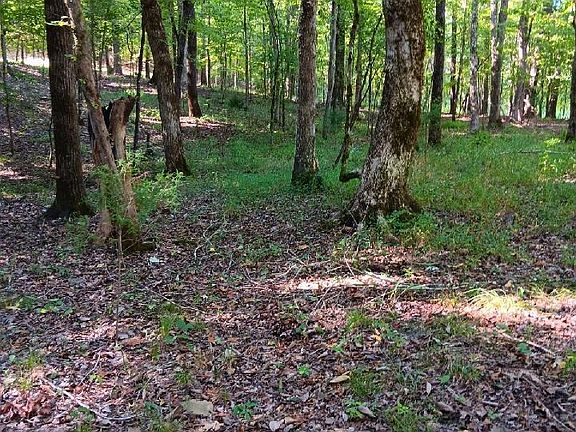 3rd image of 410 Rocky Branch Dr