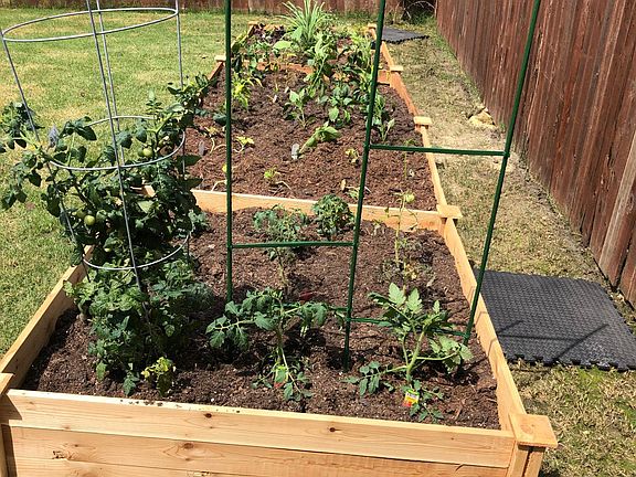 Raised Garden beds