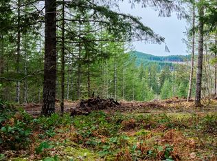 1 A Lahar Lane, Cougar, WA