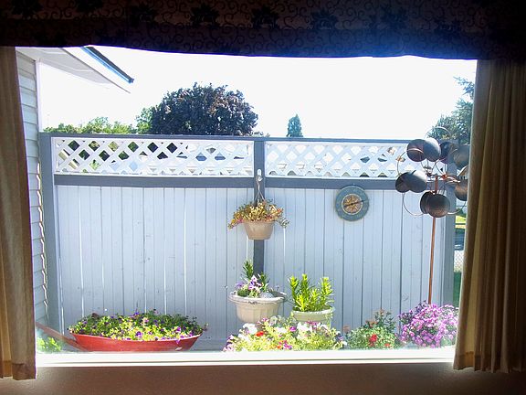 Living room view of garden