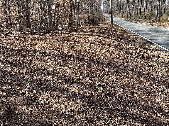 5th image of 580 Eagles Nest Landing Rd