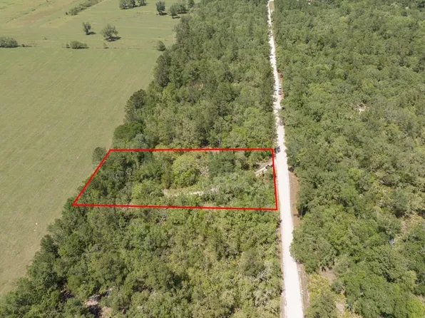  SW Wild Turkey Rd, Branford, FL 32008