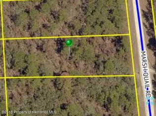 LOT 12 Marsh Quail Rd, Brooksville, FL 34614
