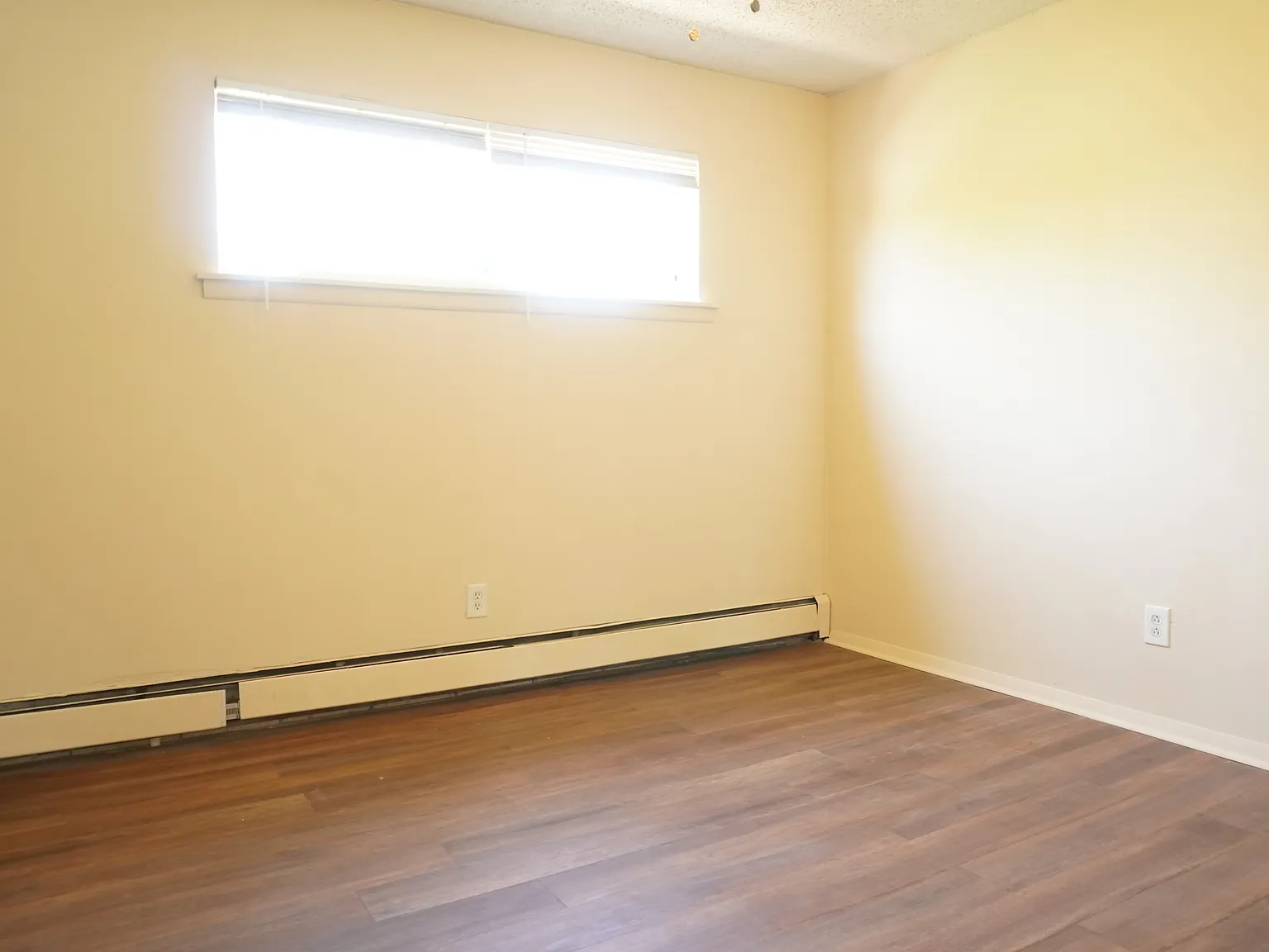 1 bed, 600 sqft, $1,295 — Photo 3