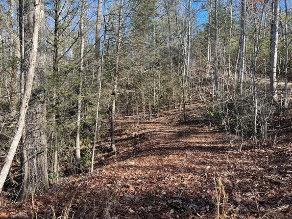 0 Hickory Hollow Way, Cosby, TN 37722