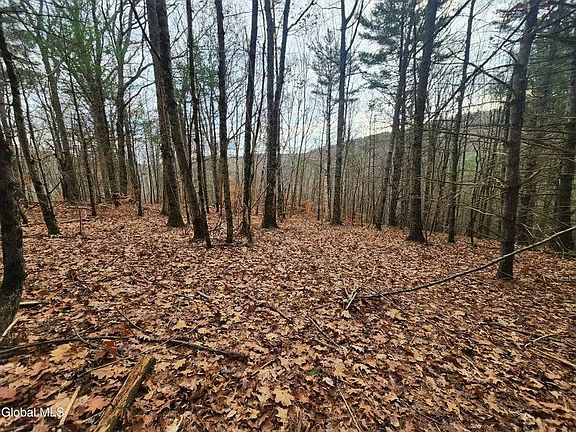 4th image of L-12 Rebel Ridge Rd