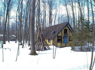 5292 Laurentian Dr, Harbor Springs, MI 49740