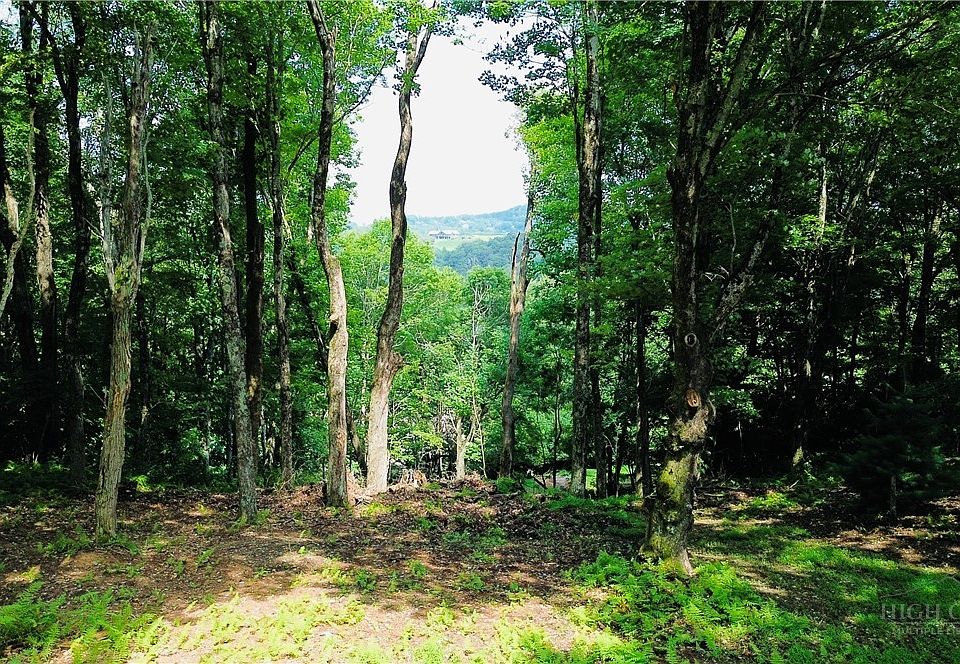 1st image of TBD Mountain Song Road