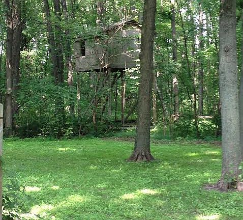 5th image of 869 Chickasaw Dr